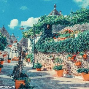 Meet your Posher, Maggie